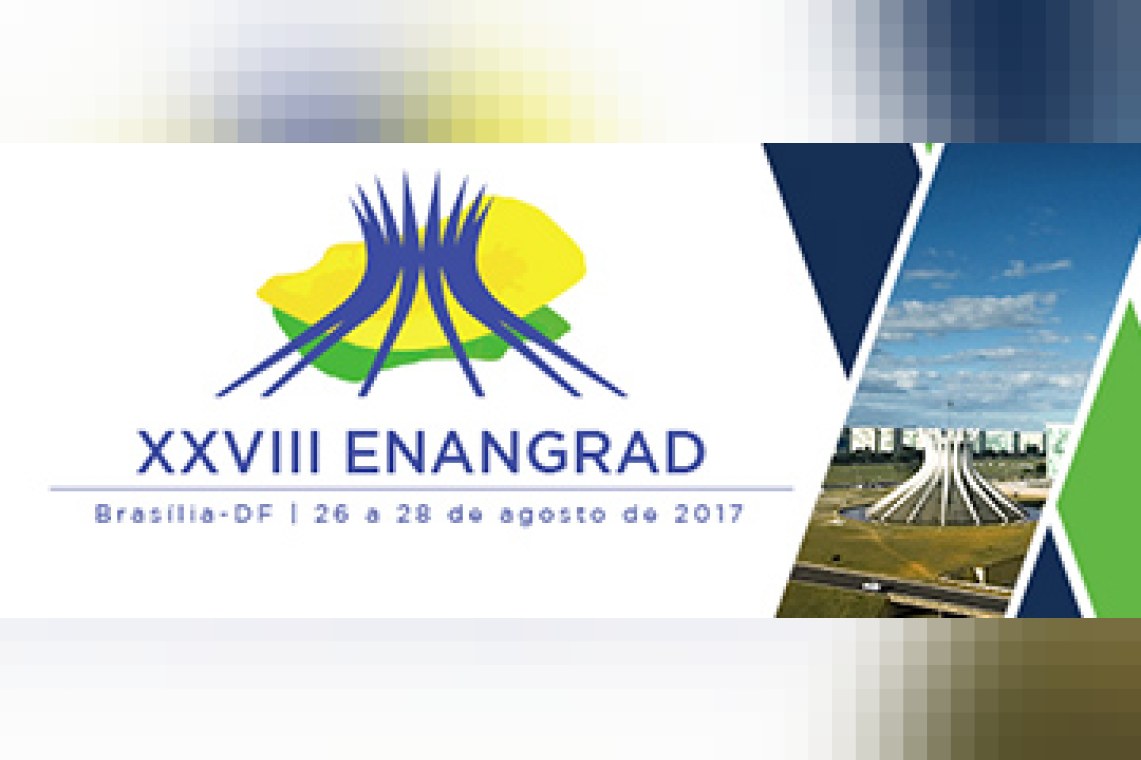XXVIII ENANGRAD