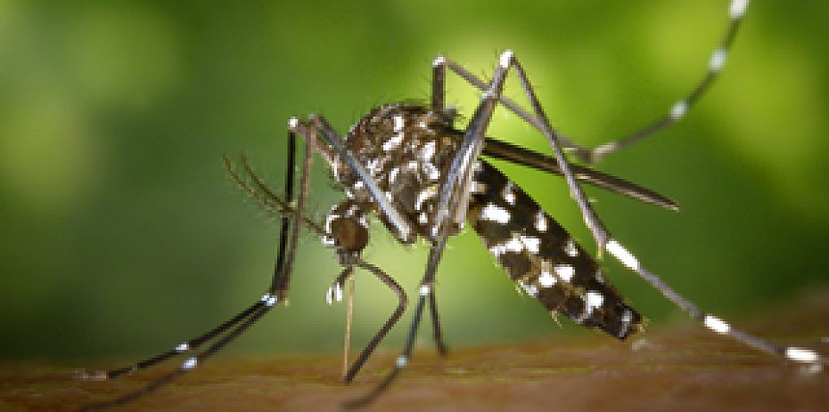 ABMES adere  ao Dia Nacional de Mobilização da Educação para o combate do Aedes e contra o Zika
